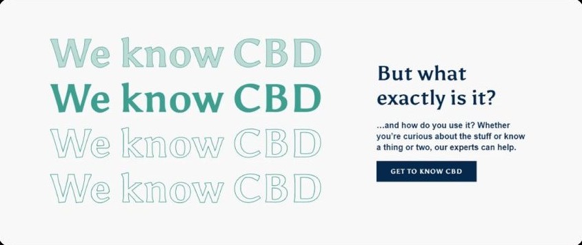Educational section with the phrase We know CBD stacked in four typographic styles next to the question But what exactly is it and a Get to Know CBD button.
